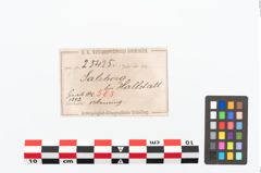 Etikett zu Bronzearmreif (NHMW-PRAE-025425)